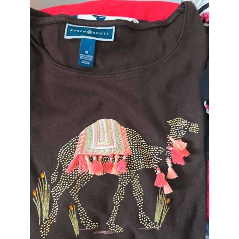 Karen Scott long sleeve shirt.